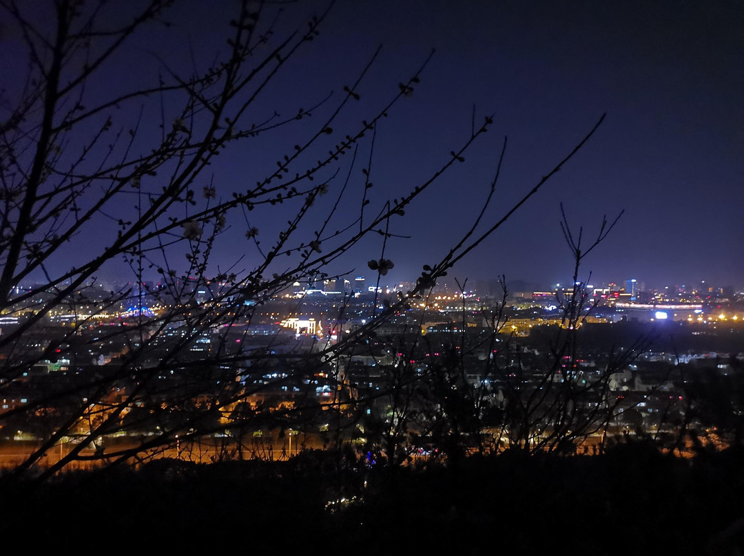 Nanshan Park-义乌市必去景点