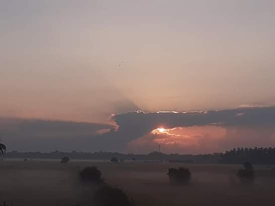 Oriole Taxi & Tours-蒂瑟默哈拉默必去景点