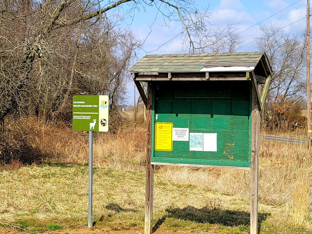 Old Bohemia Wildlife Management Area