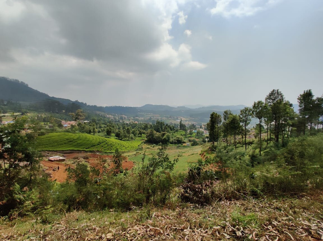 Coonoor Central景点图片