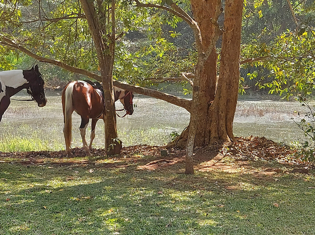 乌拉加尔拉度假村主图