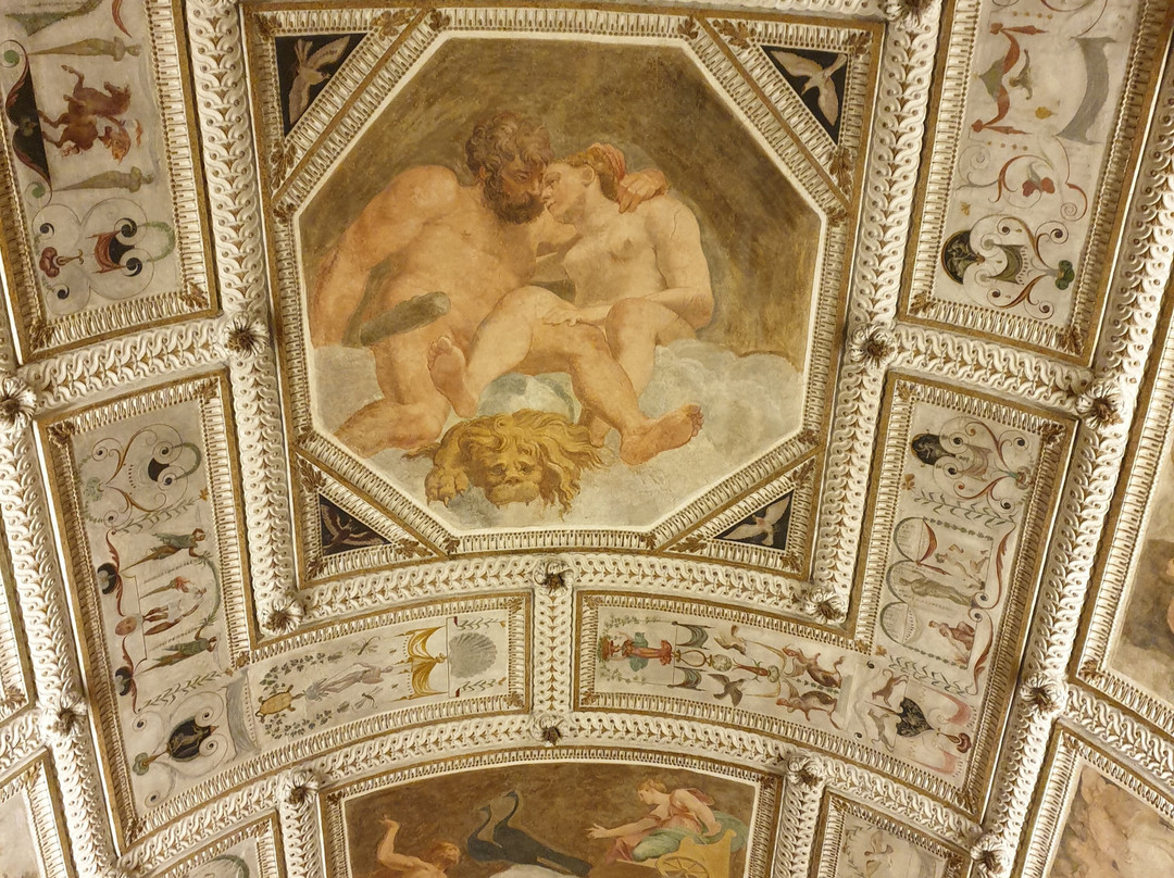 Museo Civico di Palazzo Chiericati-维琴查必去景点