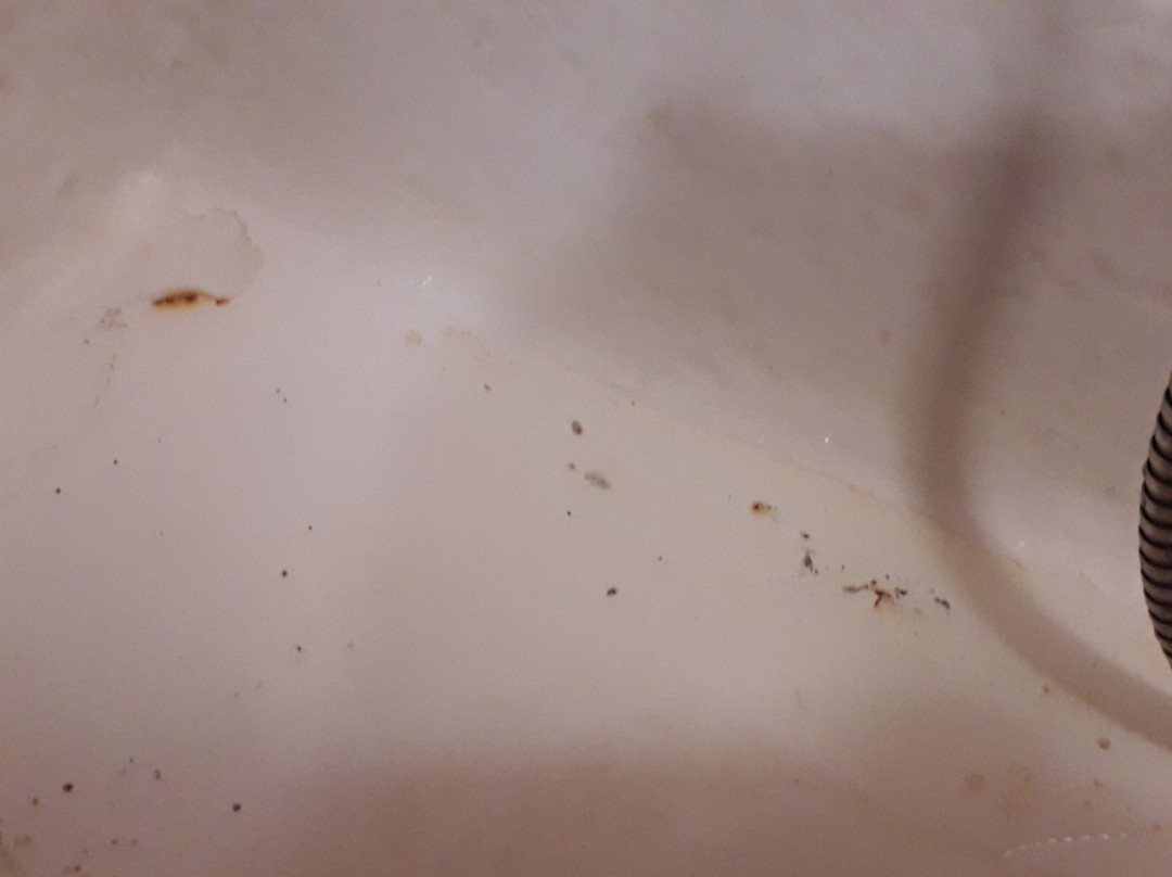 Hotel Olga Dedijer Kopaonik