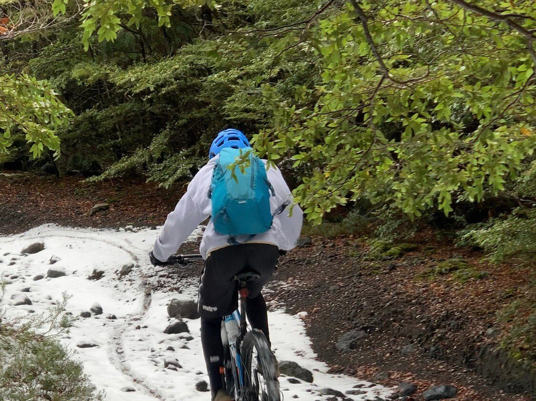 El Cerduo-普孔必去景点