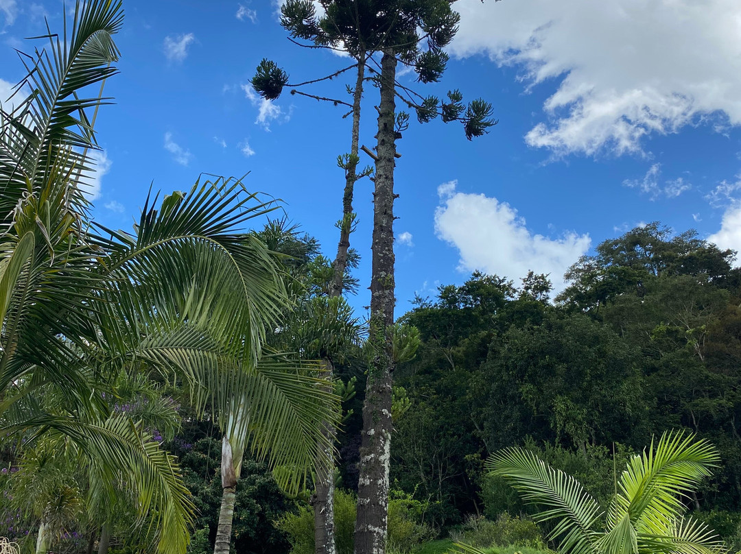 Pousada Quatro Estações主图