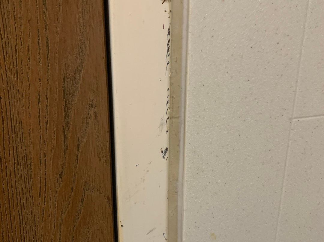 Comfort Inn Augusta主图