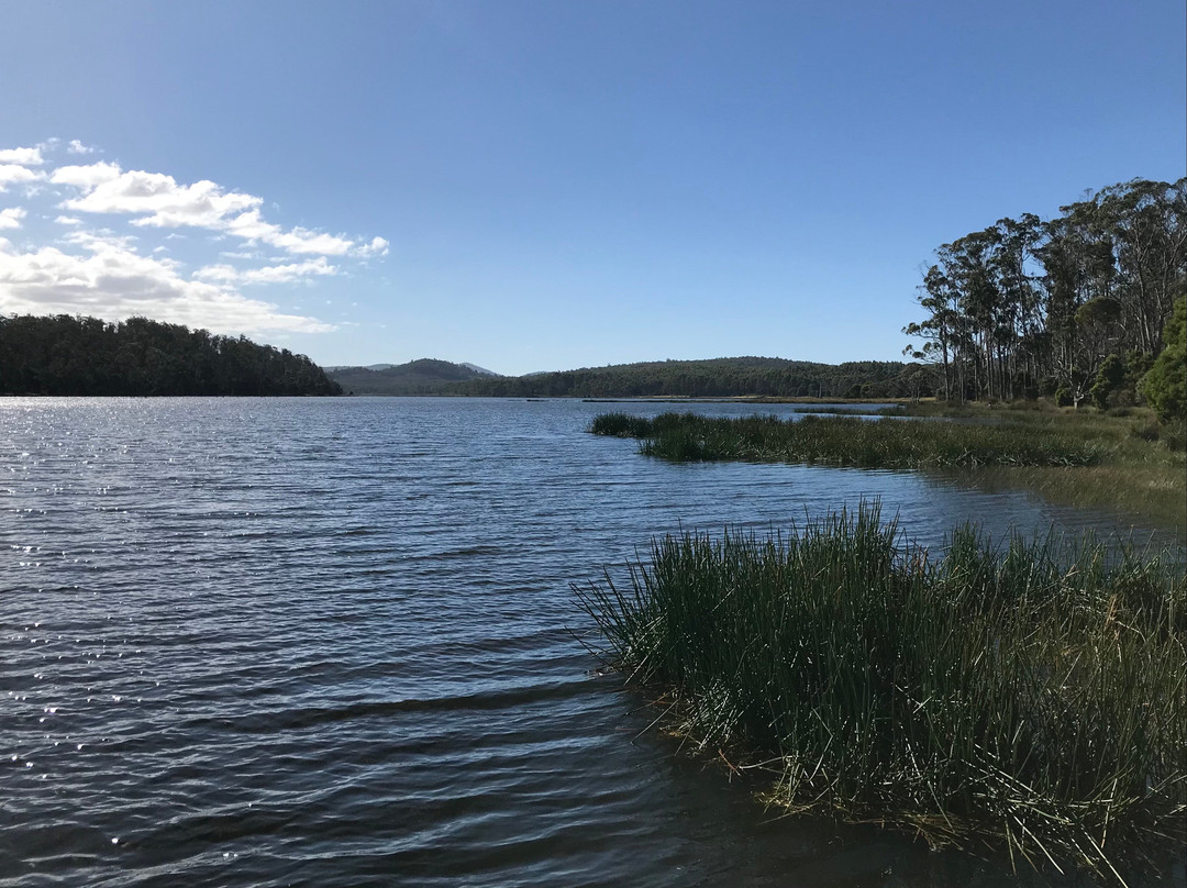 Four Springs Lake景点图片