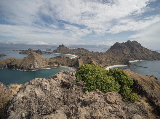 Komodo Wisata Tours & Travel-科莫多必去景点