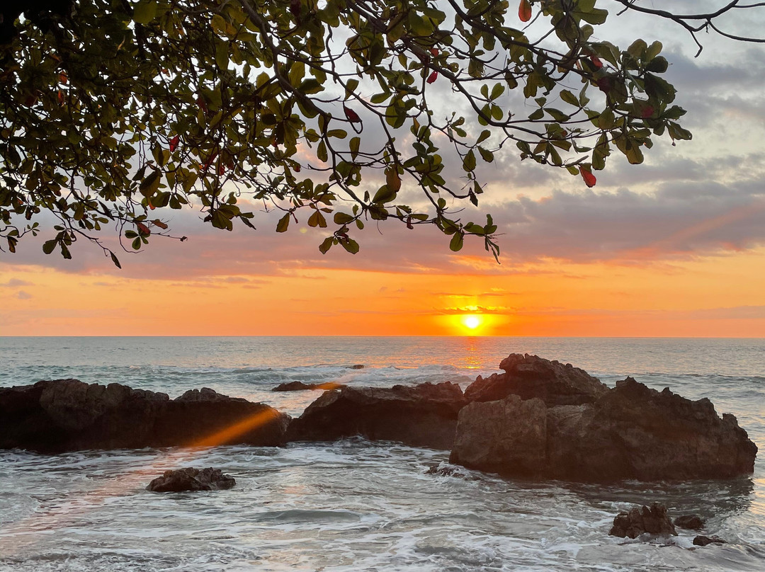 Ollie's Adventures-圣特雷莎必去景点