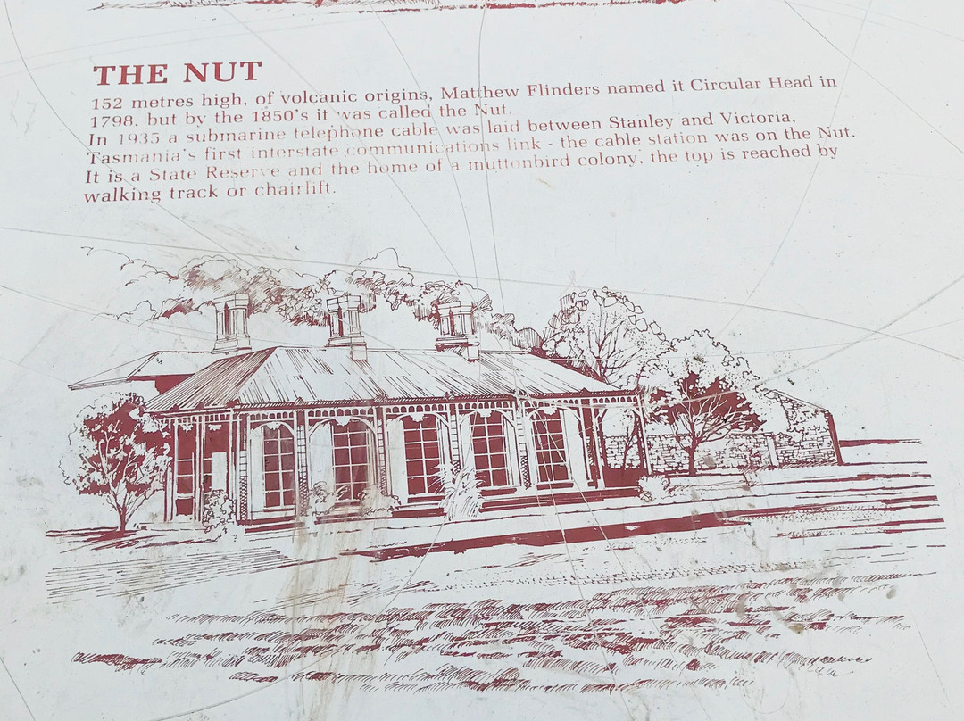 Trethewies Lookout-斯坦利必去景点