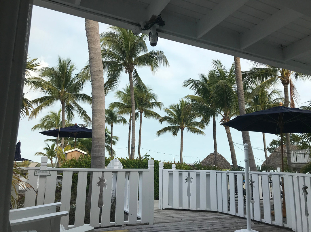 椰树棕榈树旅馆主图