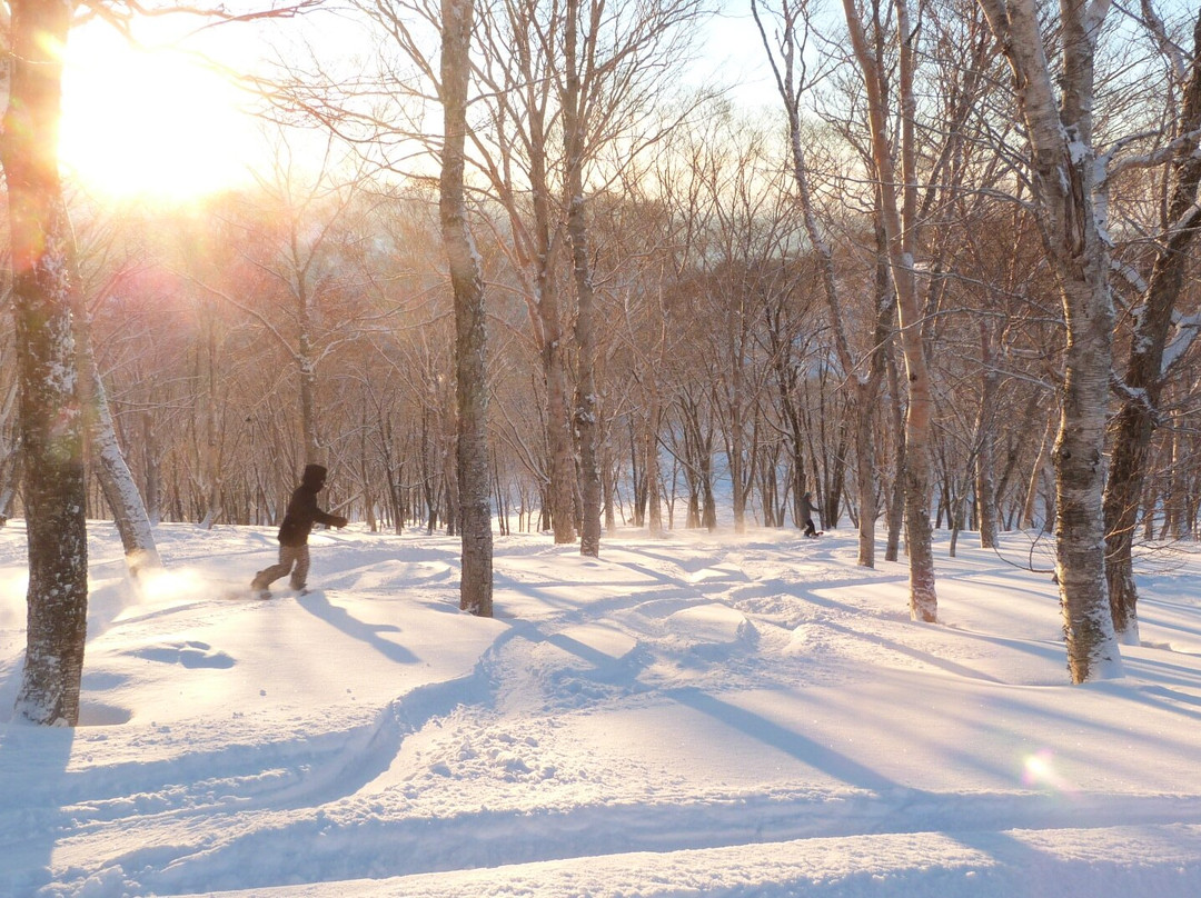 Dynaland Snow Resort-郡上市必去景点