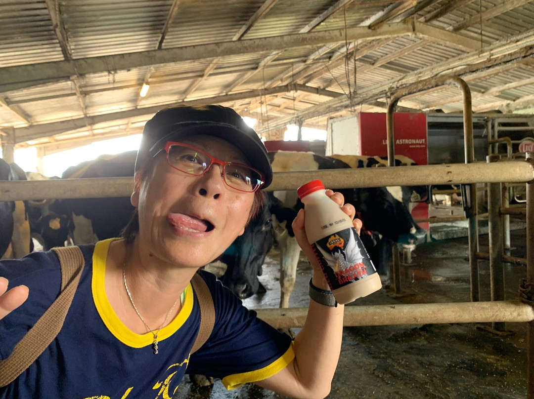 Scenic Rim Robotic Dairy景点图片