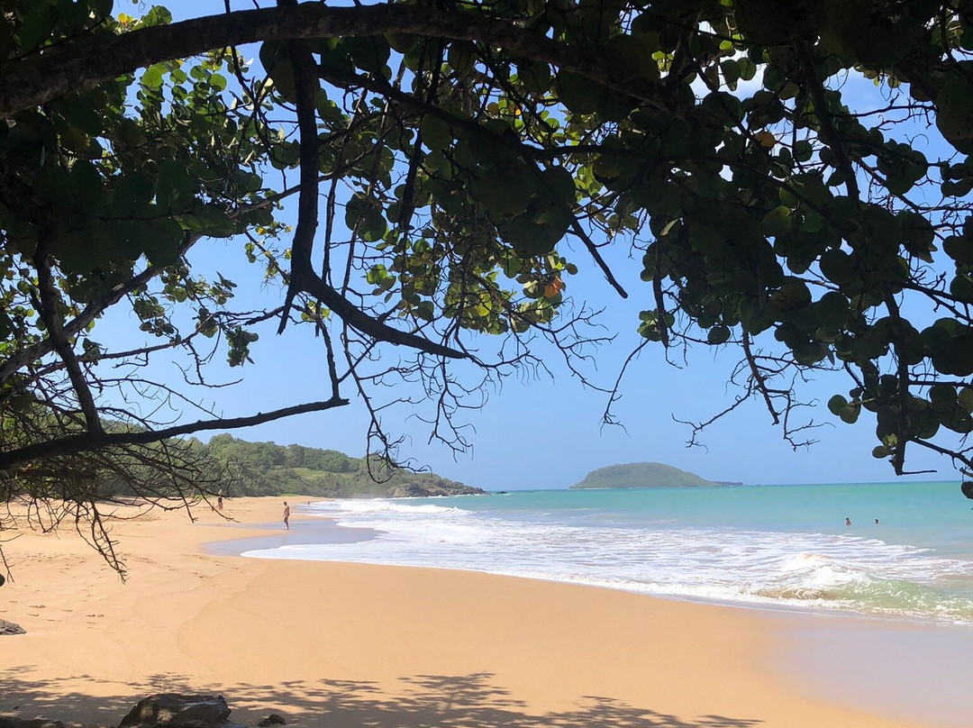 Plage Cluny-Sainte Rose必去景点