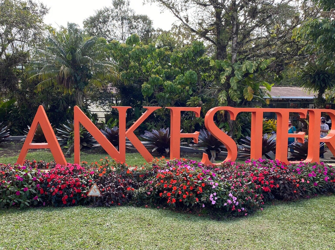 Jardin Botanico Lankester景点图片