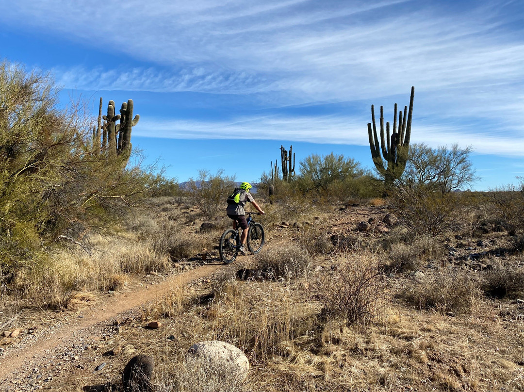 Arizona Adventure Guides-斯科茨代尔必去景点