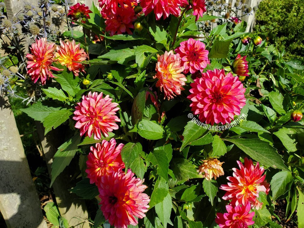 玛塔玛塔I-Site游客信息中心-玛塔玛塔必去景点