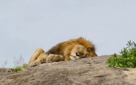 Rhino Explorer Tours & Safaris-Mto wa Mbu必去景点