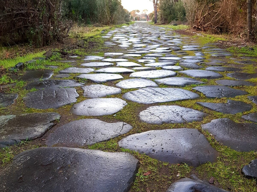 Parco Urbano Pineta di Castel Fusano-罗马必去景点