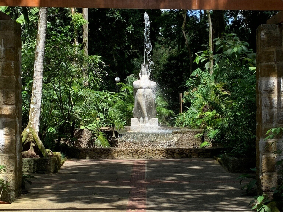 Orchid Garden-桑托斯必去景点