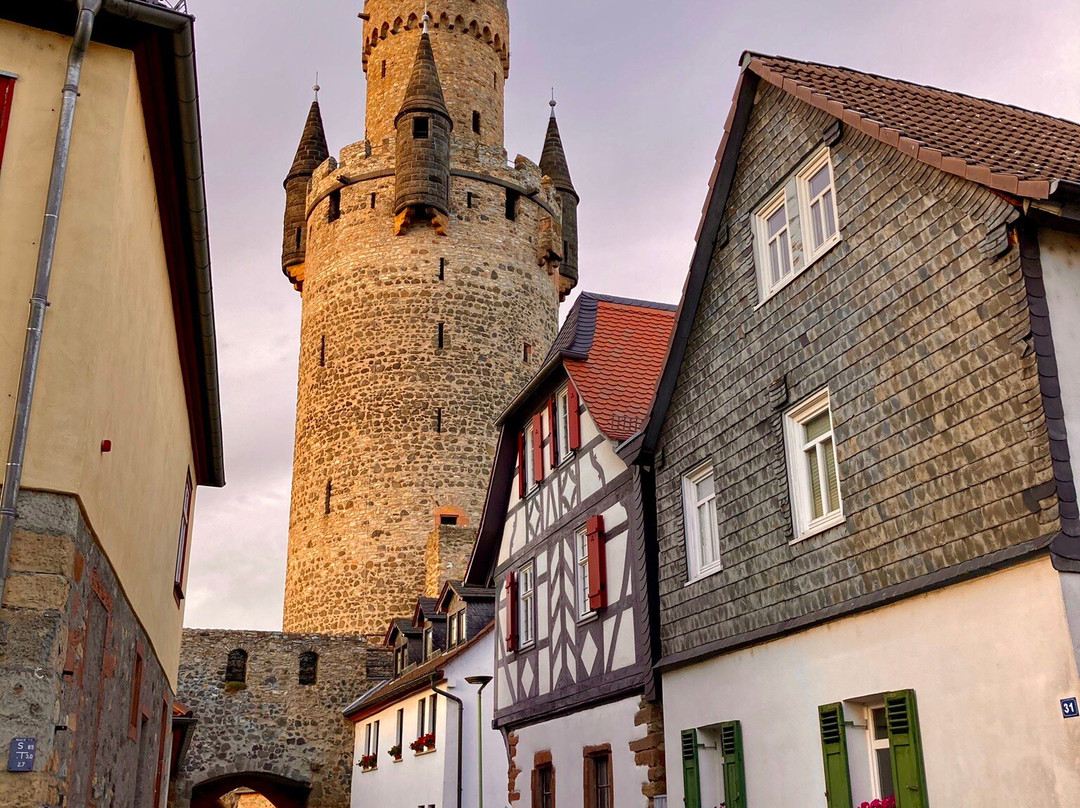 Friedberg Castle景点图片