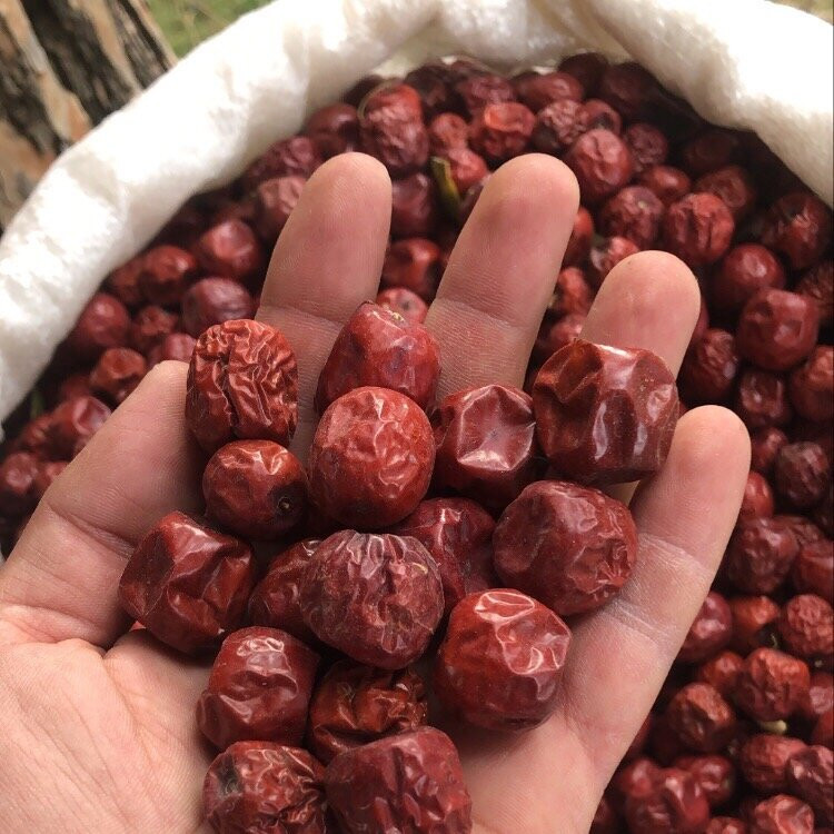 Birgi Koyevi-Birgi必去景点