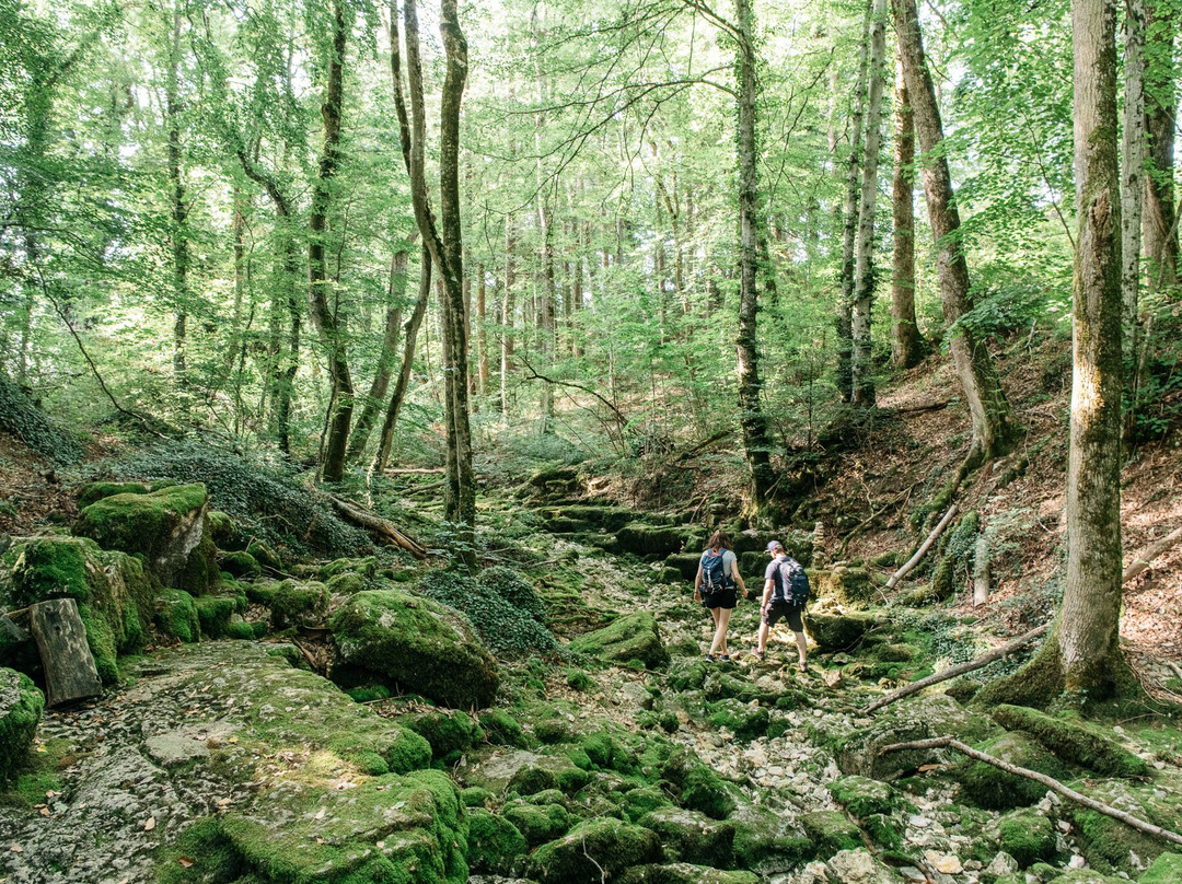 L'Isle旅游攻略图片