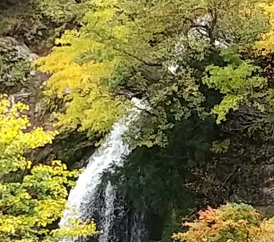 Shirugane Falls景点图片