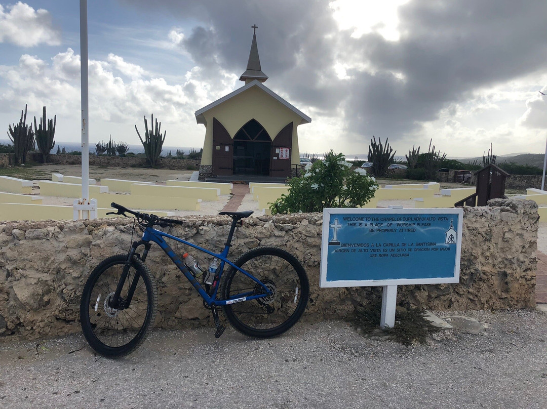 TRI-BIKE ARUBA-Santa Cruz必去景点