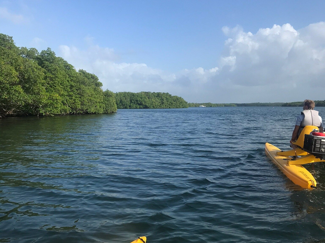 Mangrov Eco Tour-Sainte Rose必去景点
