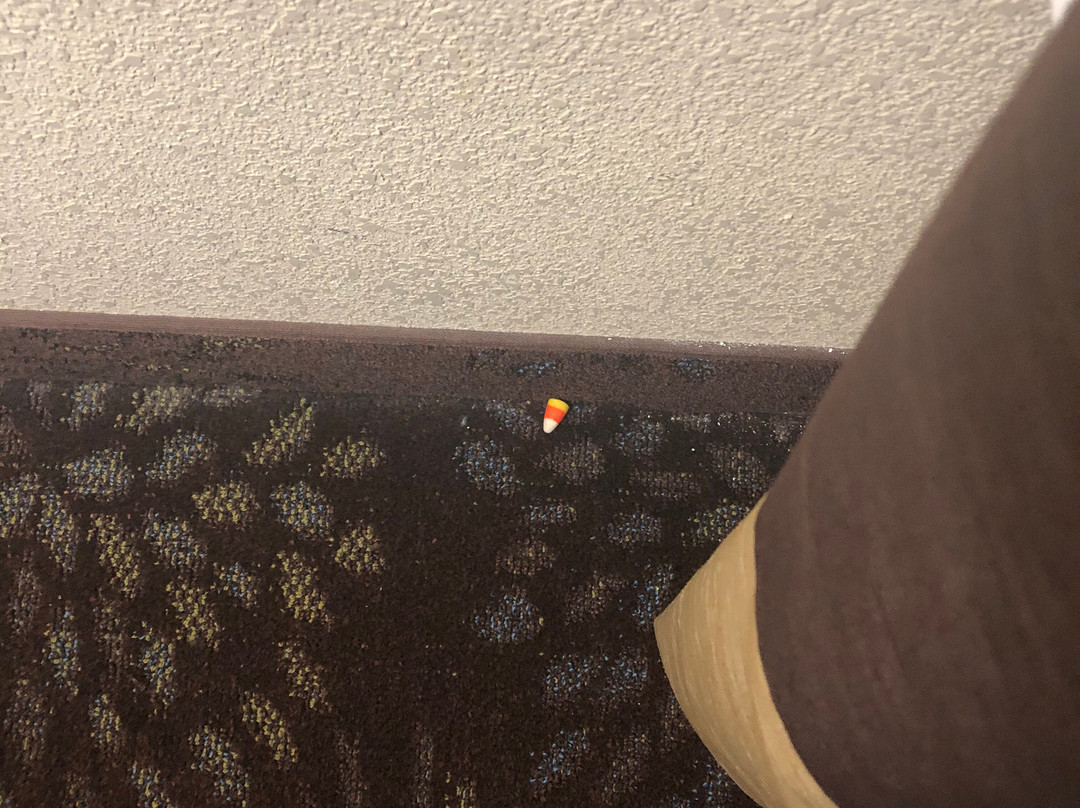 Comfort Inn & Suites主图