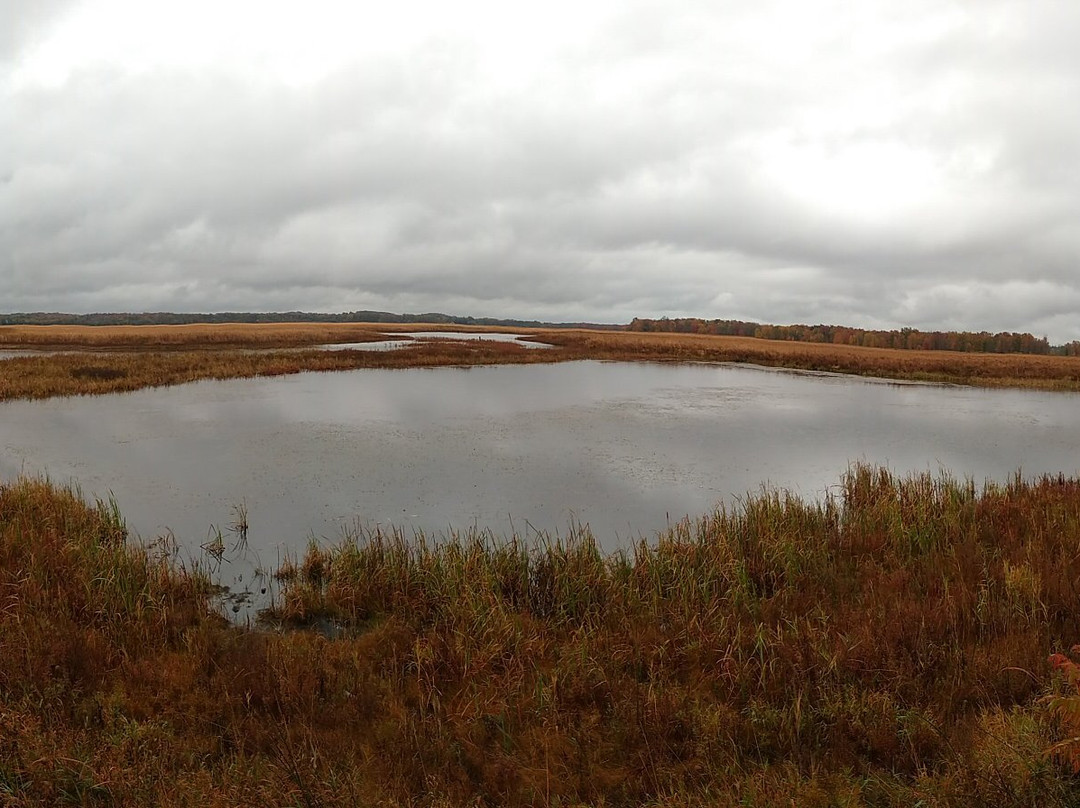 Montezuma National Wildlife Refuge景点图片