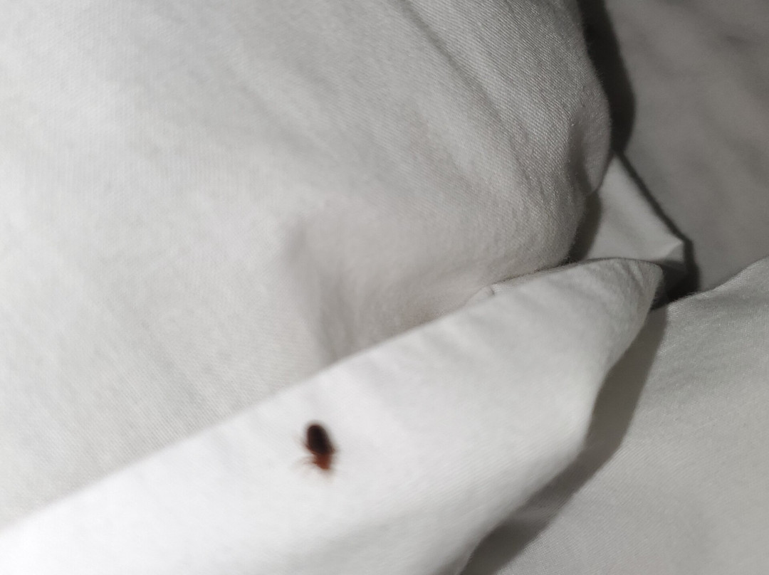 GreenTree Inn Prescott Valley主图