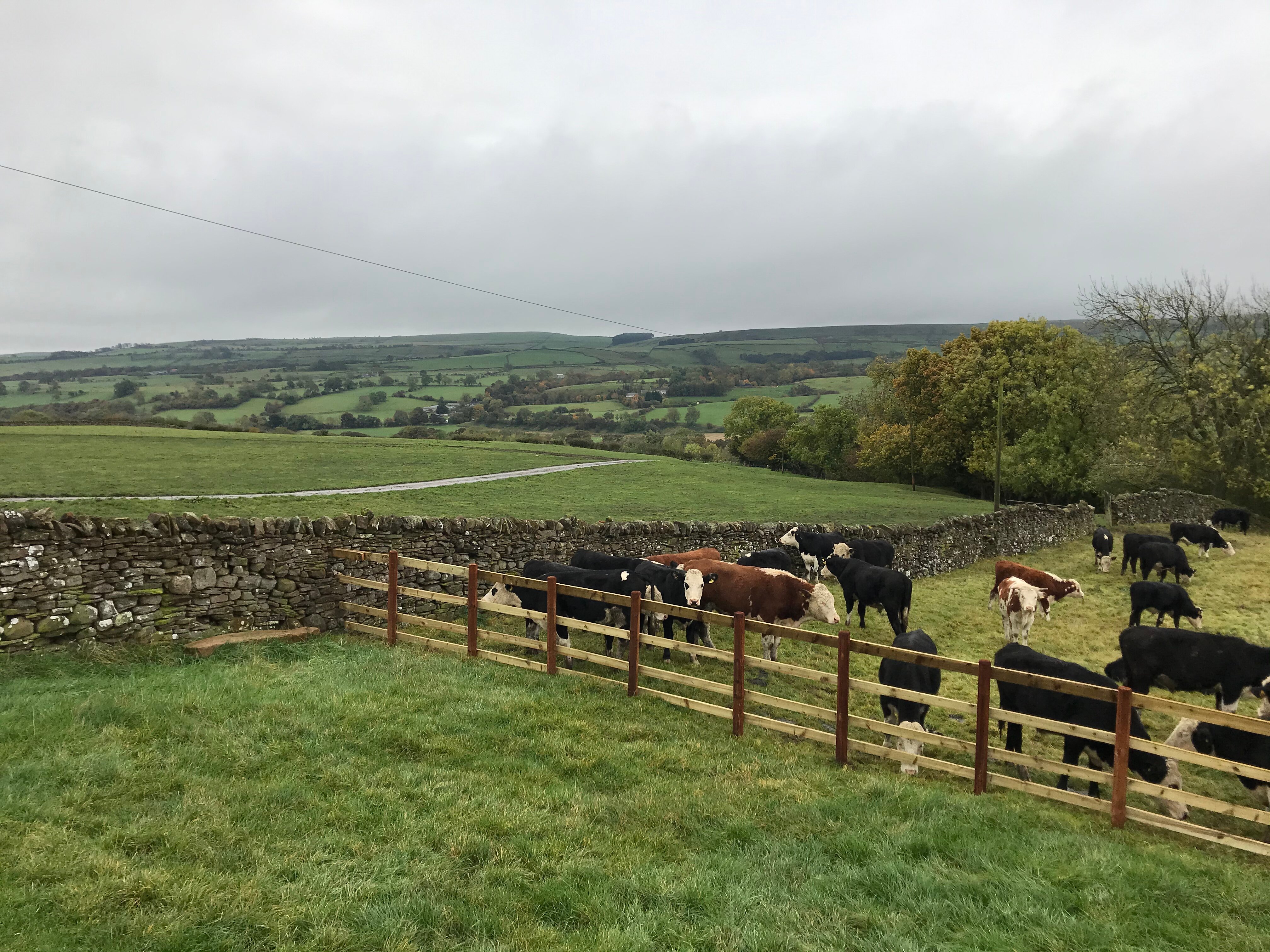 Newlands Hall Farmhouse B&B-官方
