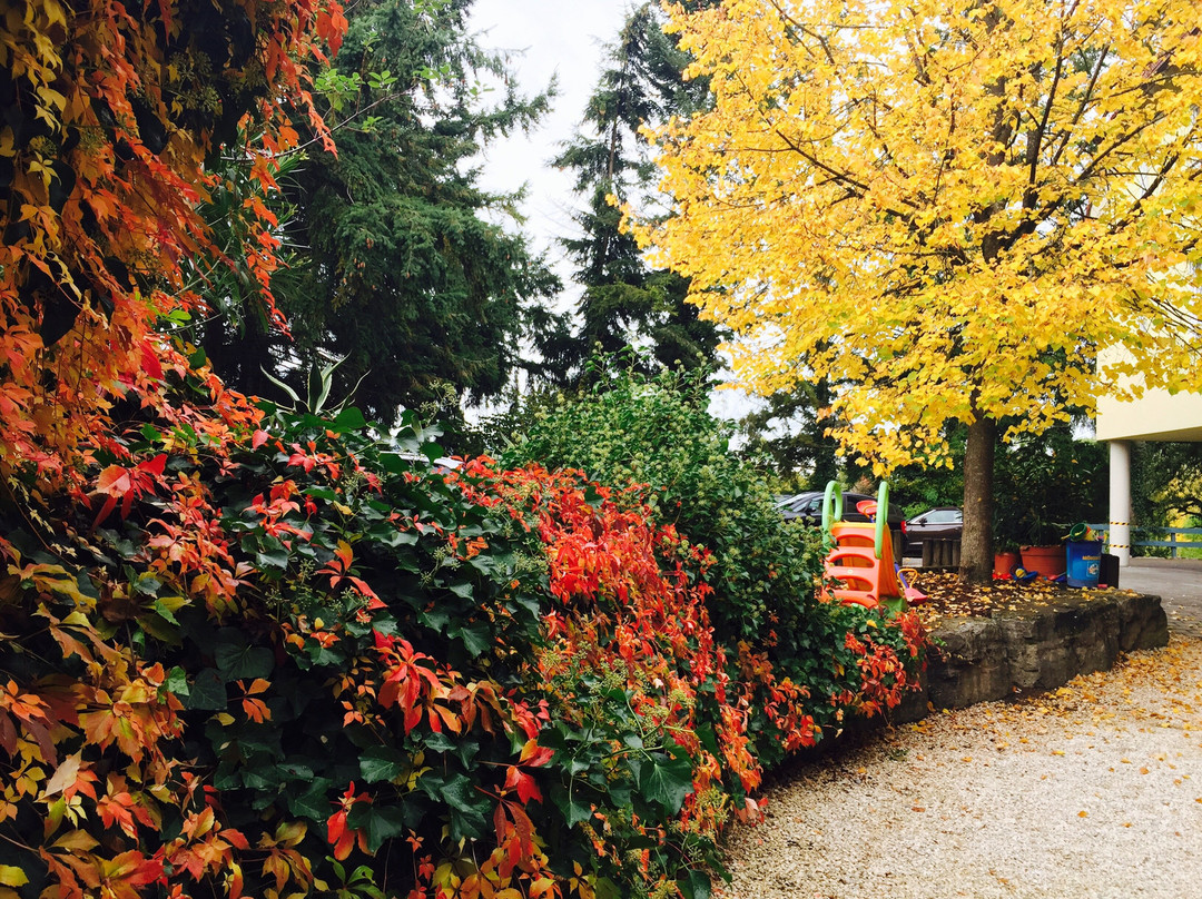 索奈克酒店主图