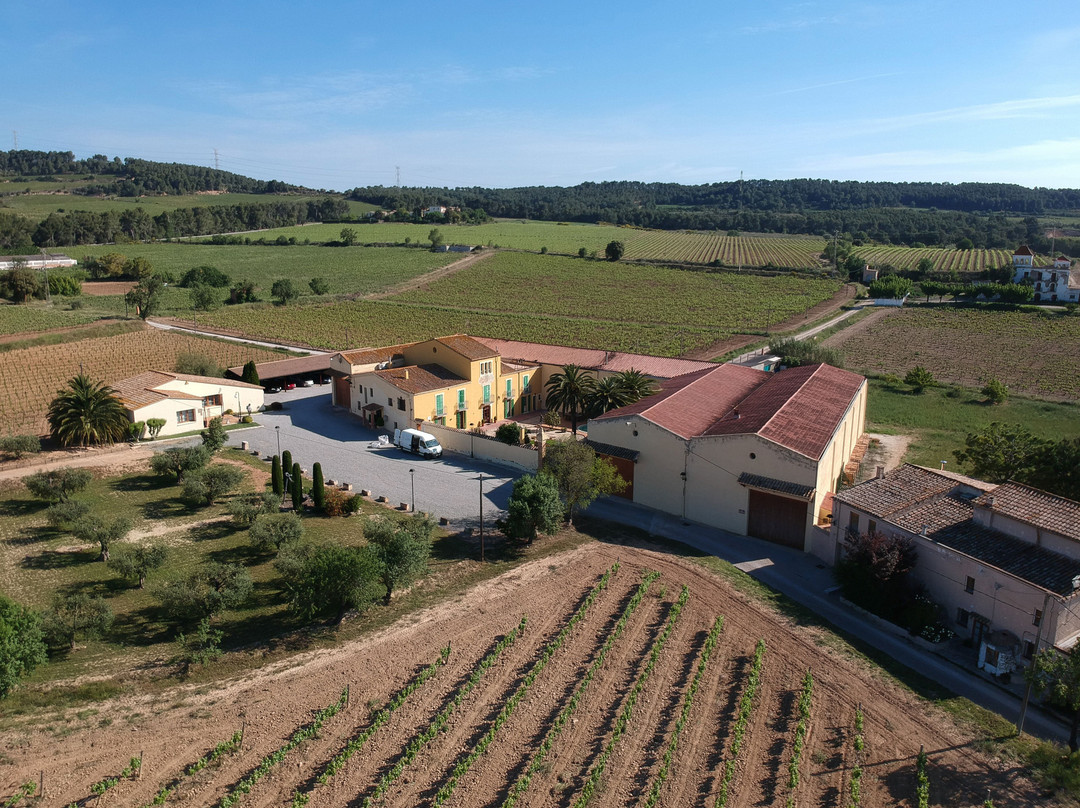 Parató Winery景点图片