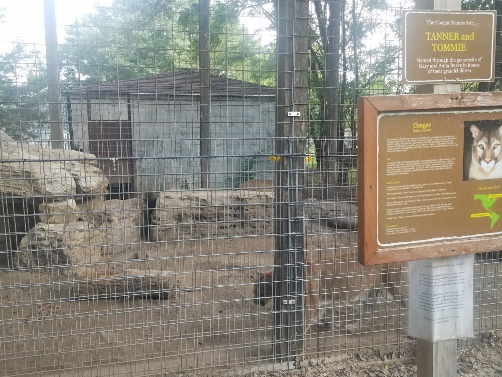 Brit Spaugh Zoo景点图片