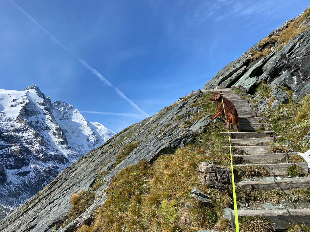 Großglockner National Park景点图片