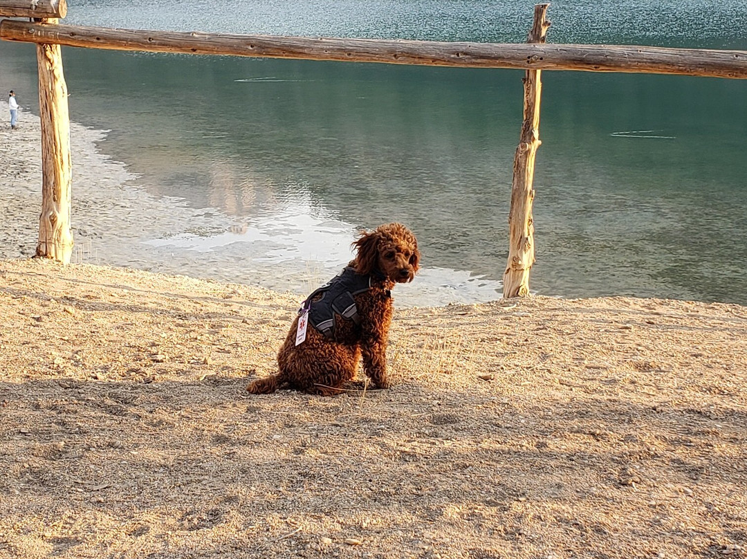 Cave Lake State Park-内华达必去景点