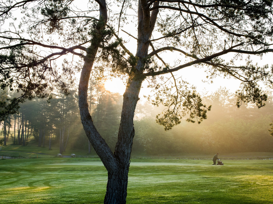Karolinka Golf Park景点图片