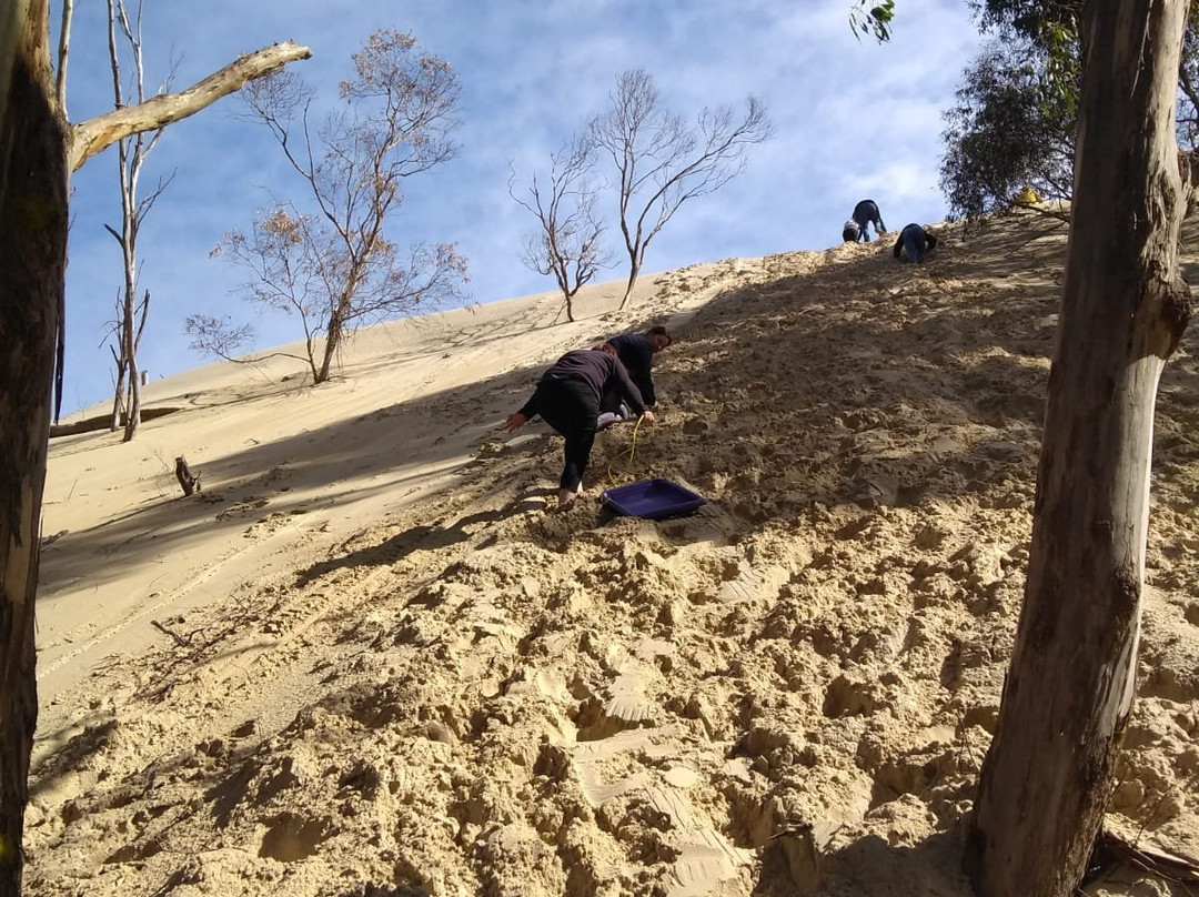 Henty Dunes-斯特拉恩必去景点