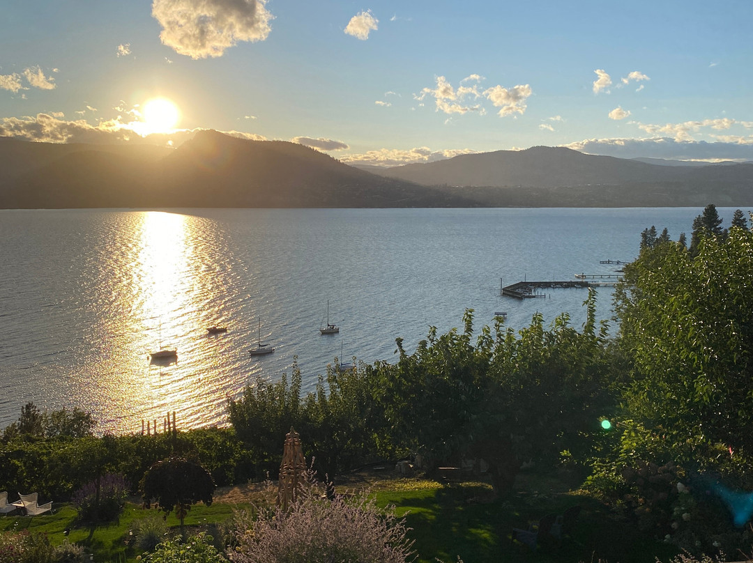 Villa Magnolia Guest House主图