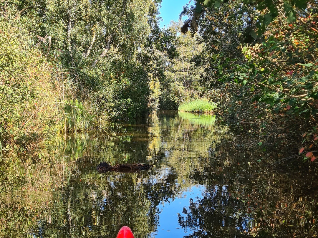 Nikano-Noorden必去景点
