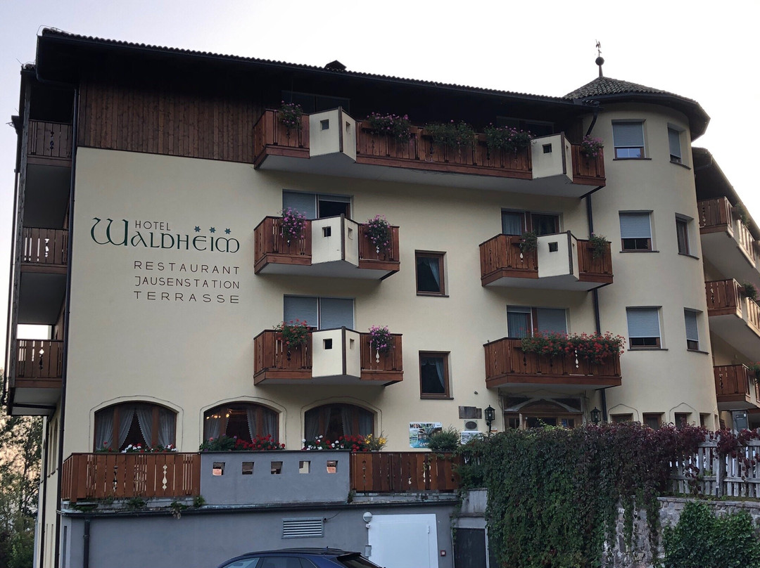 Hotel Waldheim主图