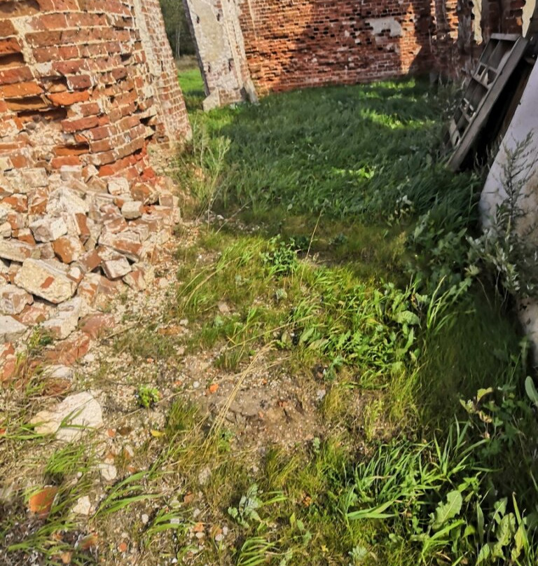 Church of the Life-Giving Trinity-Maloboriskovo必去景点