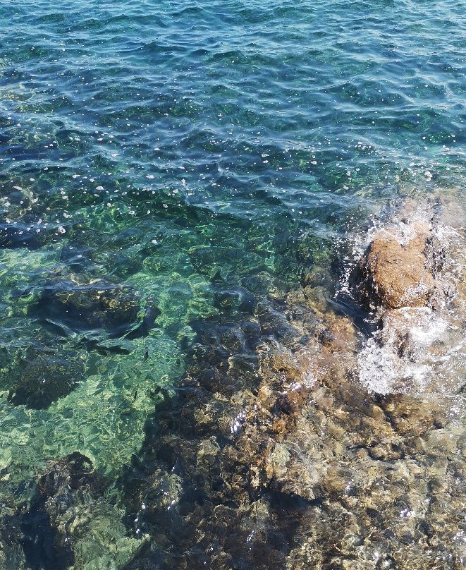 Port du Niel-Giens必去景点