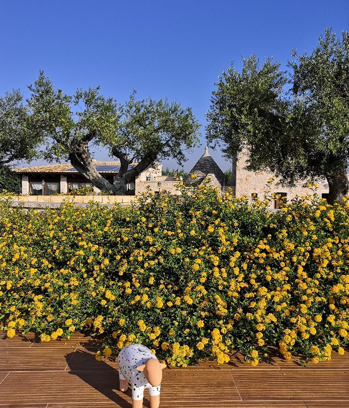 B&B Fiano Marchione主图