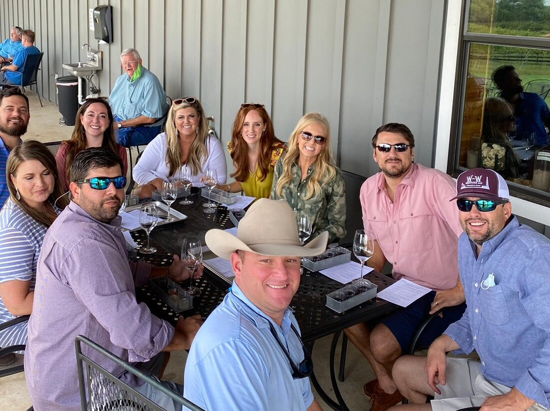 Texas Grapes Wine Tours-弗雷德里克斯堡必去景点