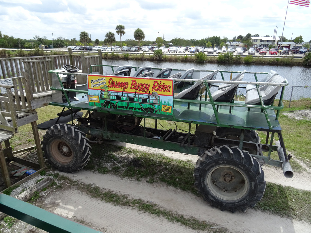 Everglades Swamp Buggy Adventure-奥乔皮必去景点