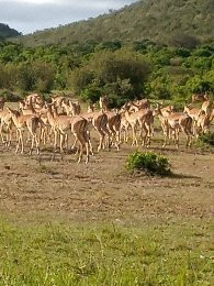 Nairobi and Beyond Safaris-内罗毕必去景点